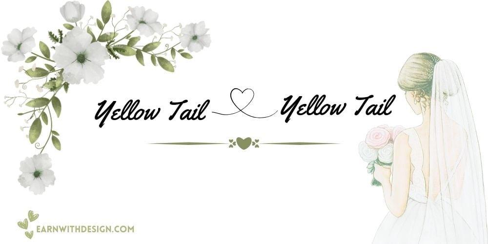 best fonts calligraphy font right font perfect font great fonts best wedding fontsYellow Tail